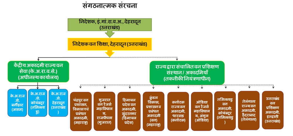 वन शिक्षा निदेशालय का संगठनात्मक आरेख