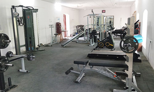 Physical Training & Sports 