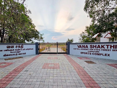 Physical Training & Sports Image 1