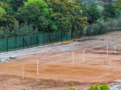 Physical Training & Sports Image 3