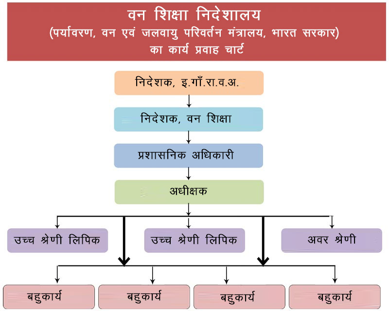 कार्यप्रवाह चार्ट - पर्यवेक्षण और जवाबदेही का चैनल
