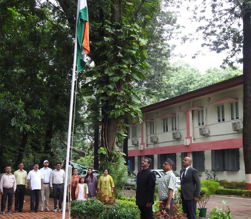Independence Day 2026 - 4