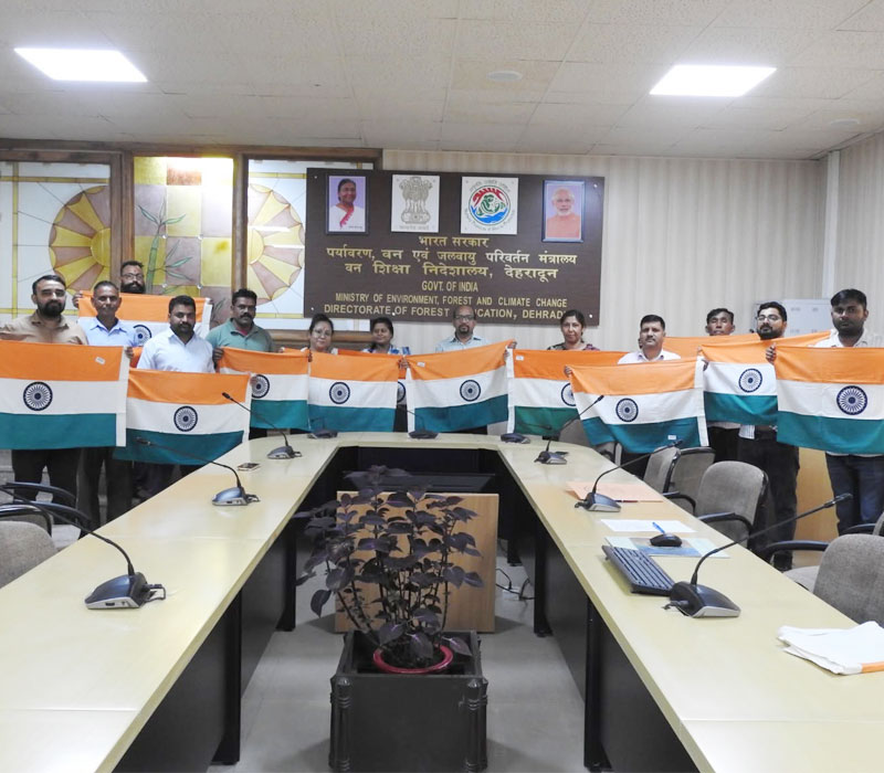 Independence Day 2026 - 3