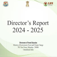 Directors Report 2024-2025