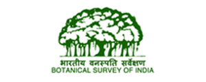 Botanical Survey of India (BSI)