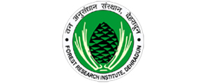 Forest Research Institute University