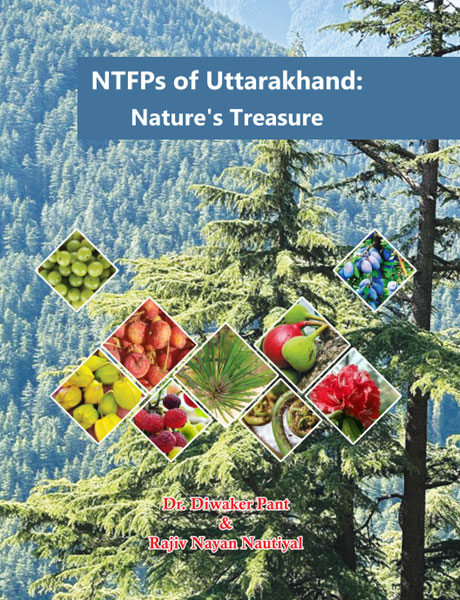 Image of NTPFs of Uttarakhand; Nature’s Treasure