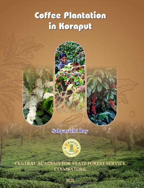 Image of Coffee Plantation in Koraput
