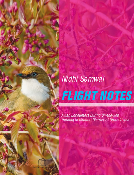 Image of Flight Notes: Avian encounters during OJT in Nainital District of Uttarakhand