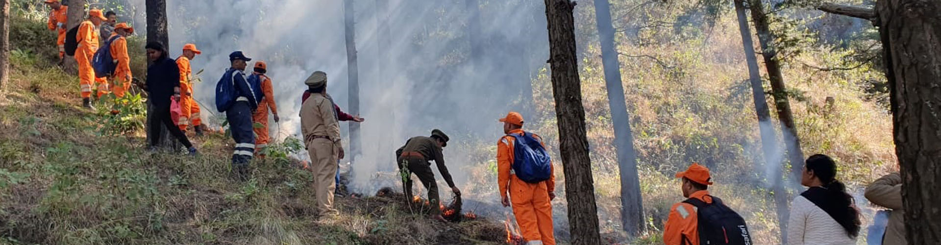 Directorate of Forest Education | Banner 5